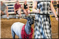 LCFAIR17-7517.jpg
