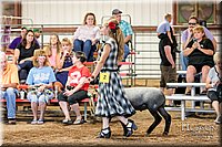 LCFAIR17-7524.jpg