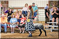 LCFAIR17-7525.jpg