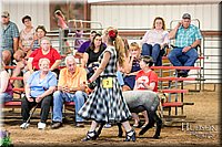 LCFAIR17-7526.jpg