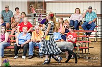 LCFAIR17-7527.jpg