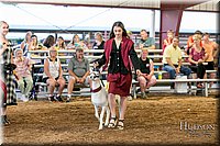LCFAIR17-7569.jpg
