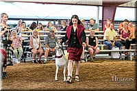 LCFAIR17-7570.jpg