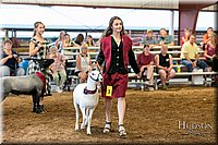 LCFAIR17-7571.jpg