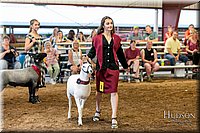 LCFAIR17-7572.jpg