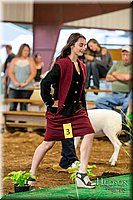 LCFAIR17-7588.jpg