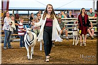 LCFAIR17-7618.jpg