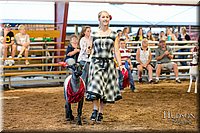 LCFAIR17-7620.jpg