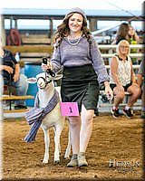 LCFAIR17-7633.jpg