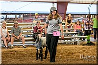 LCFAIR17-7650.jpg