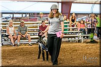 LCFAIR17-7653.jpg