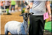 LCFAIR17-7661.jpg