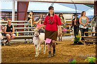 LCFAIR17-7683.jpg