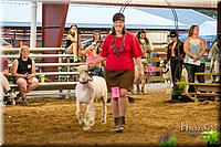 LCFAIR17-7684.jpg
