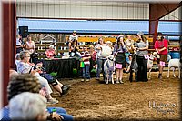 LCFAIR17-7772.jpg