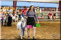 LCFAIR17-7775.jpg