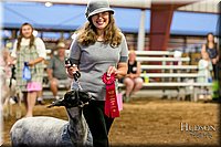 LCFAIR17-7780.jpg