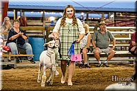 LCFAIR17-7782.jpg