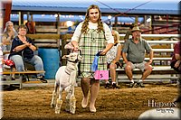 LCFAIR17-7783.jpg