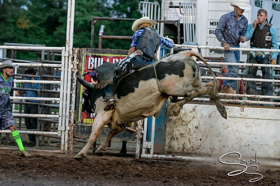 LCFAIR17-7567.jpg