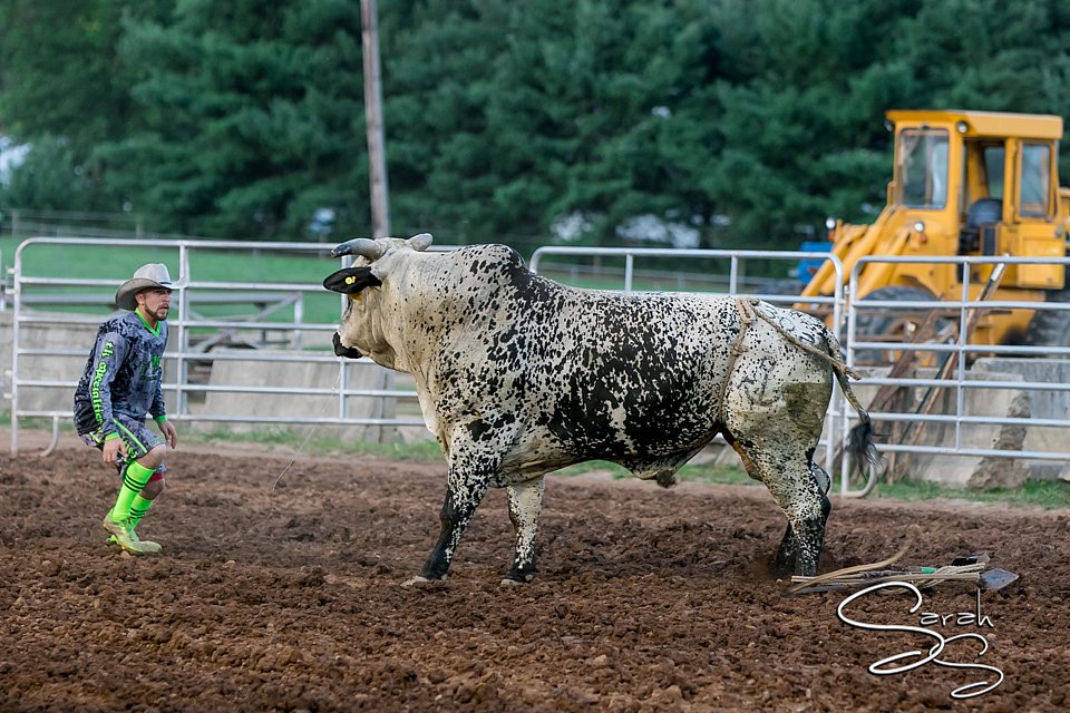 LCFAIR17-7611.jpg