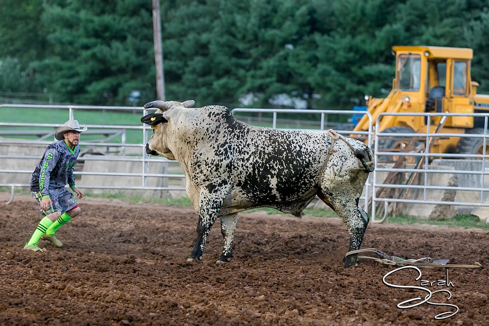 LCFAIR17-7612.jpg