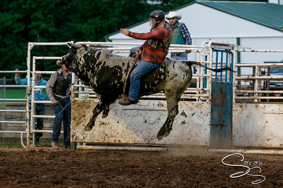 LCFAIR17-7644.jpg