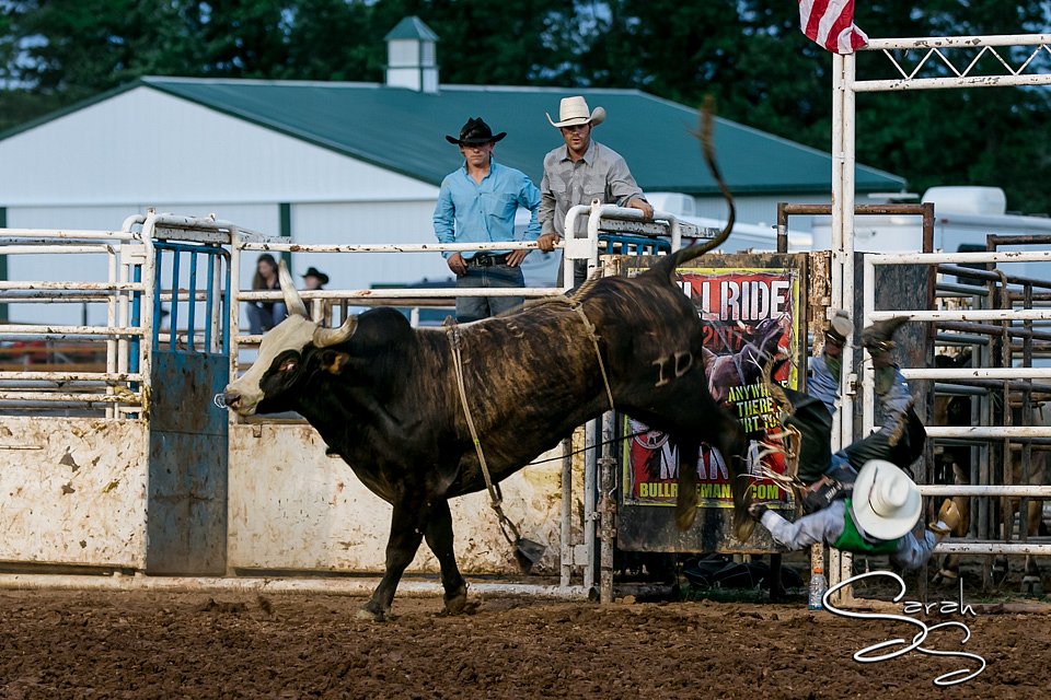 LCFAIR17-7710.jpg