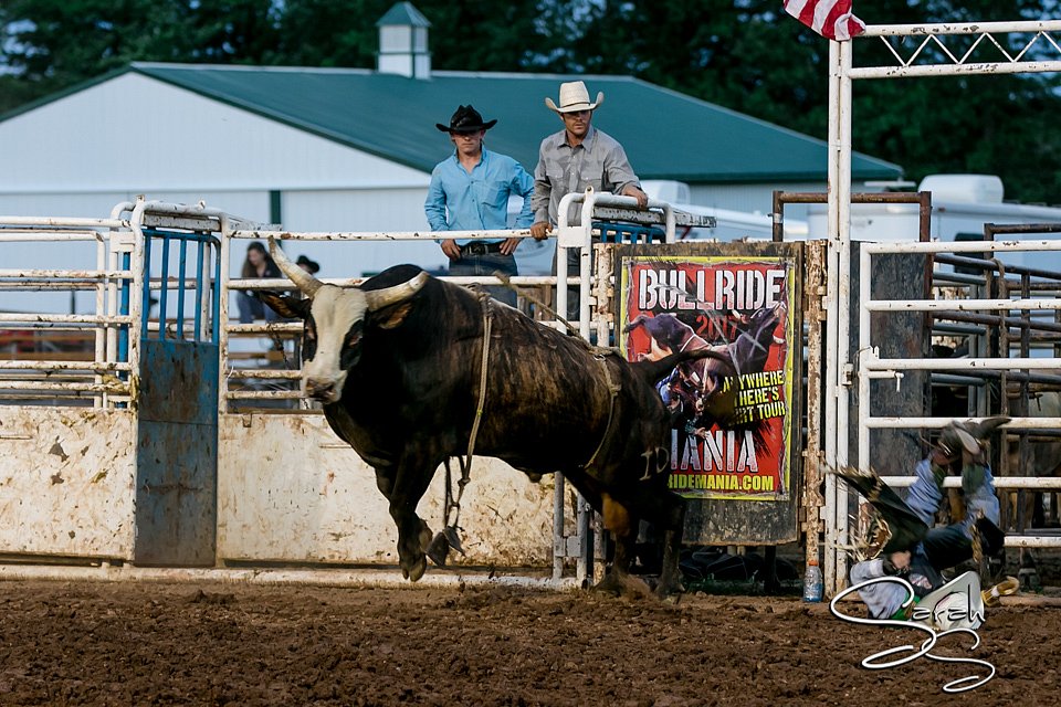 LCFAIR17-7711.jpg
