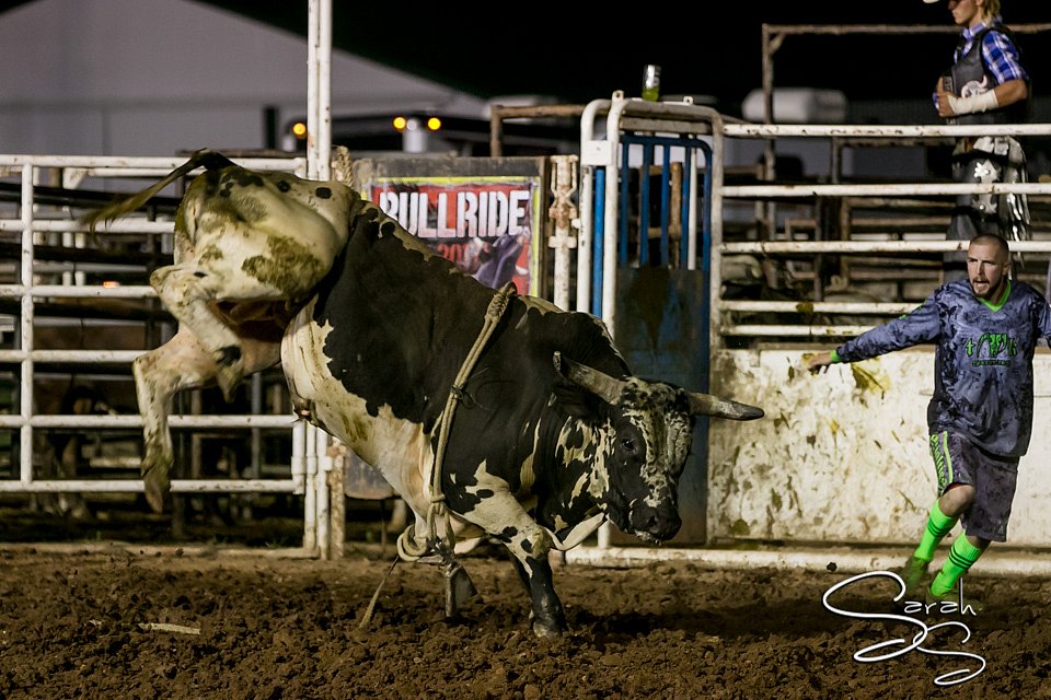 LCFAIR17-7989.jpg