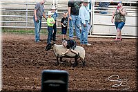 LCFAIR17-7205.jpg