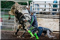 LCFAIR17-7509.jpg