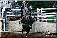 LCFAIR17-7582.jpg