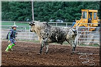 LCFAIR17-7612.jpg