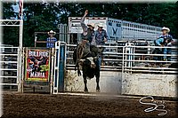 LCFAIR17-7680.jpg