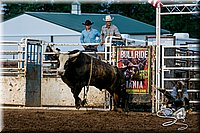 LCFAIR17-7711.jpg