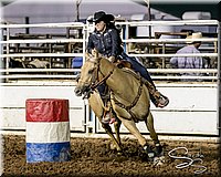 LCFAIR17-7881.jpg