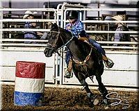 LCFAIR17-7901.jpg