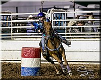 LCFAIR17-7905.jpg