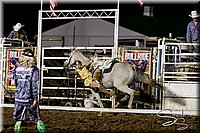 LCFAIR17-7957.jpg