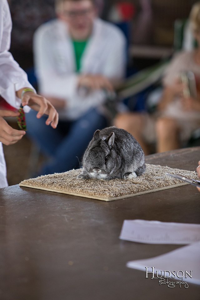LCFAIR-081218-0098.jpg