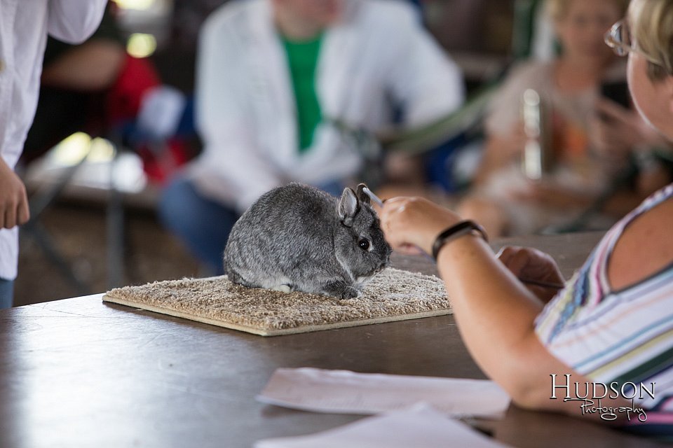 LCFAIR-081218-0103.jpg