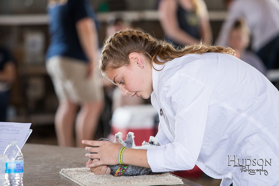LCFAIR-081218-0112.jpg