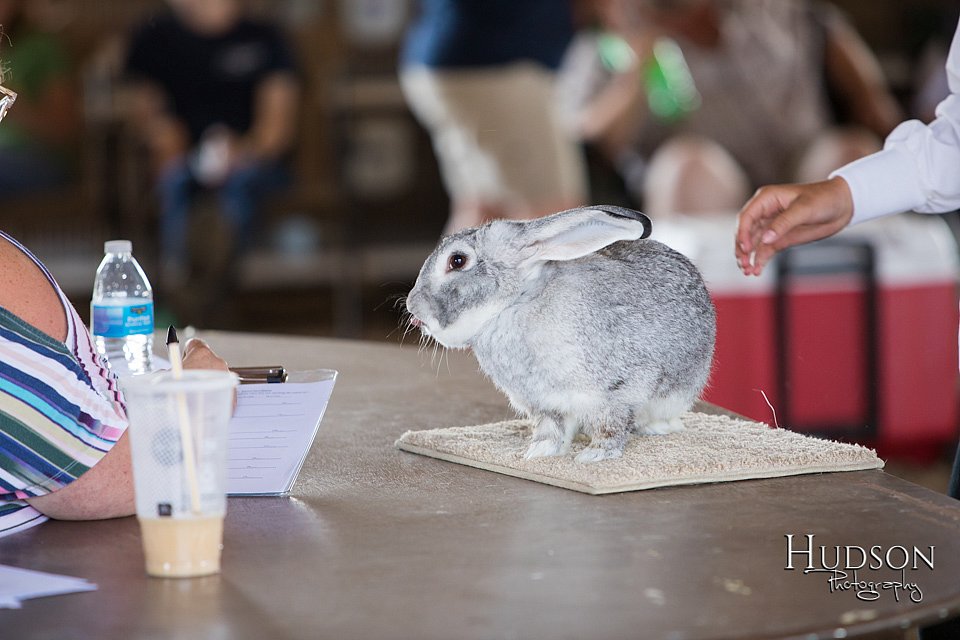 LCFAIR-081218-0121.jpg