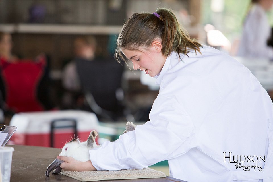 LCFAIR-081218-0154.jpg