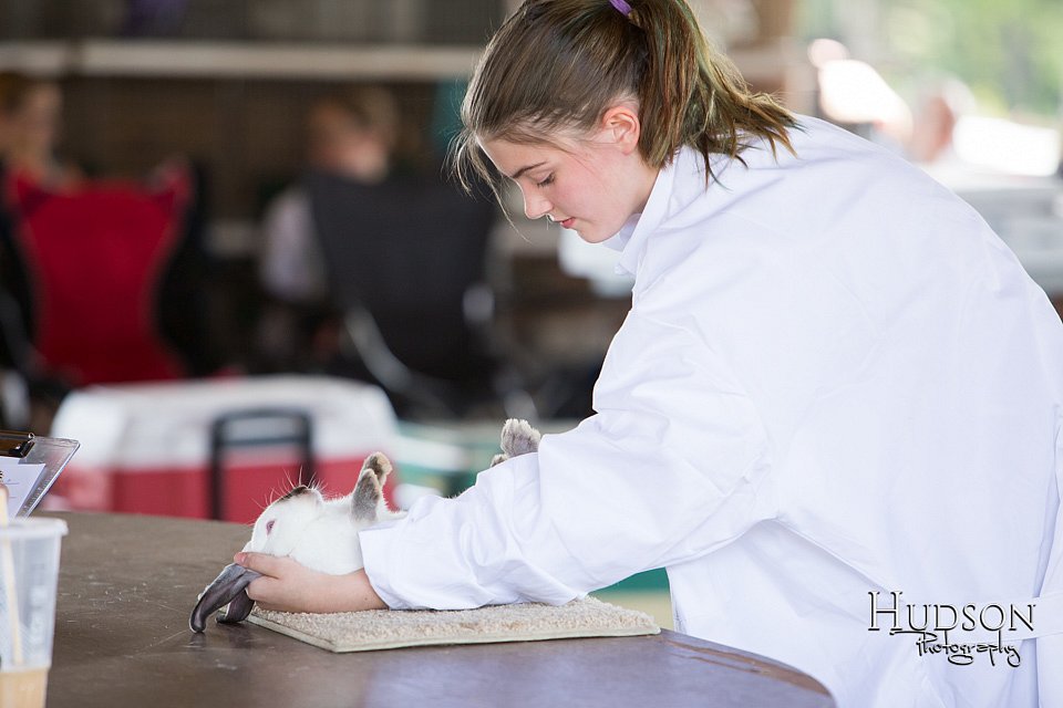LCFAIR-081218-0155.jpg
