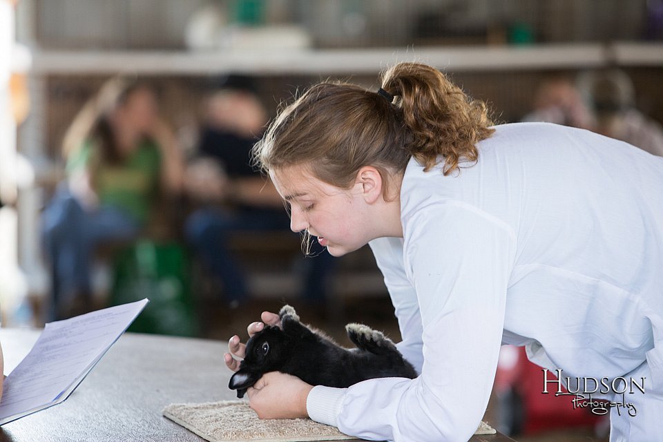 LCFAIR-081218-0223.jpg
