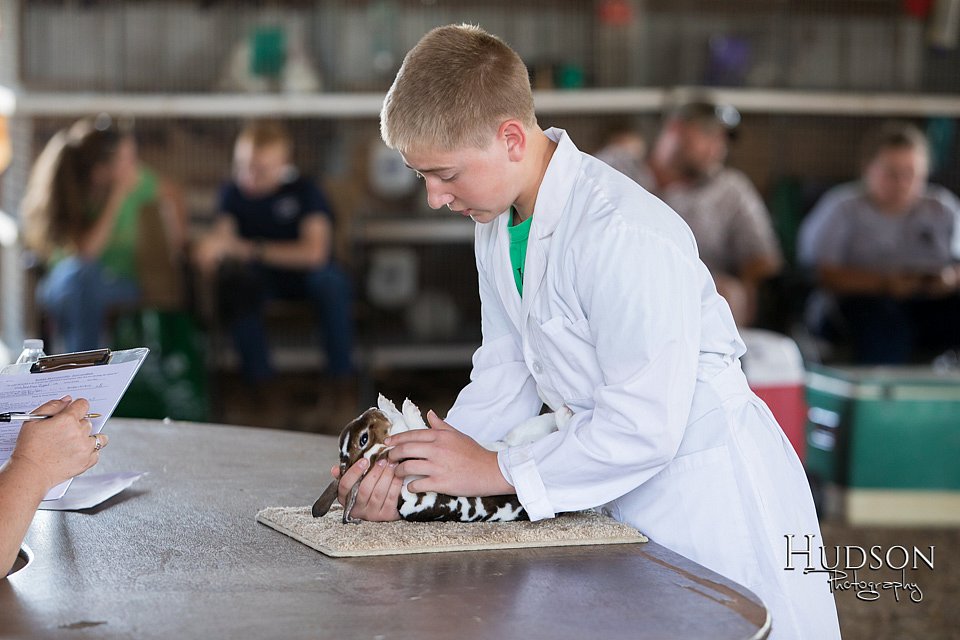 LCFAIR-081218-0236.jpg