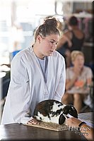 LCFAIR-081218-0078.jpg