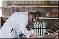 LCFAIR-081218-0084.jpg